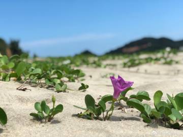 赣州章贡区红色革命基地